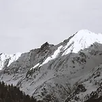 Neururer