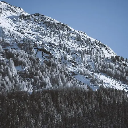 Neururer 게스트하우스